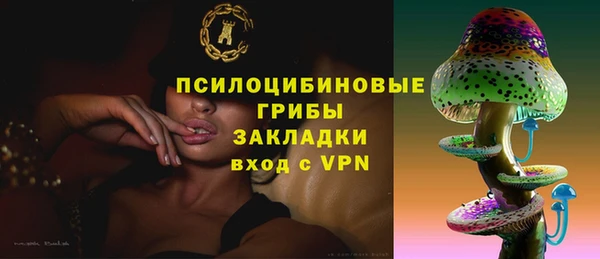 дурь Алексин